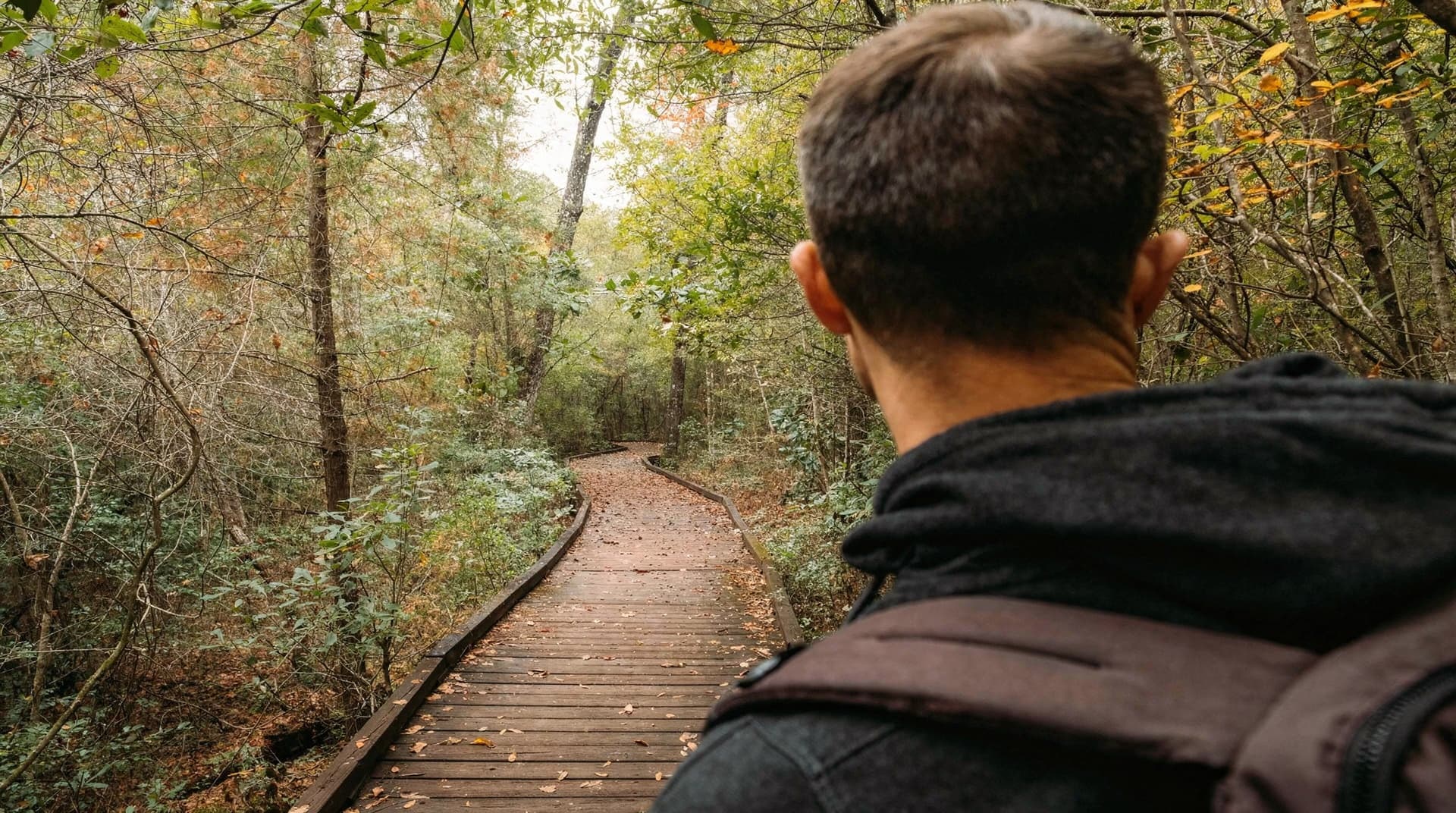 A person with a backpack walks along a wooden boardwalk through a forested area.