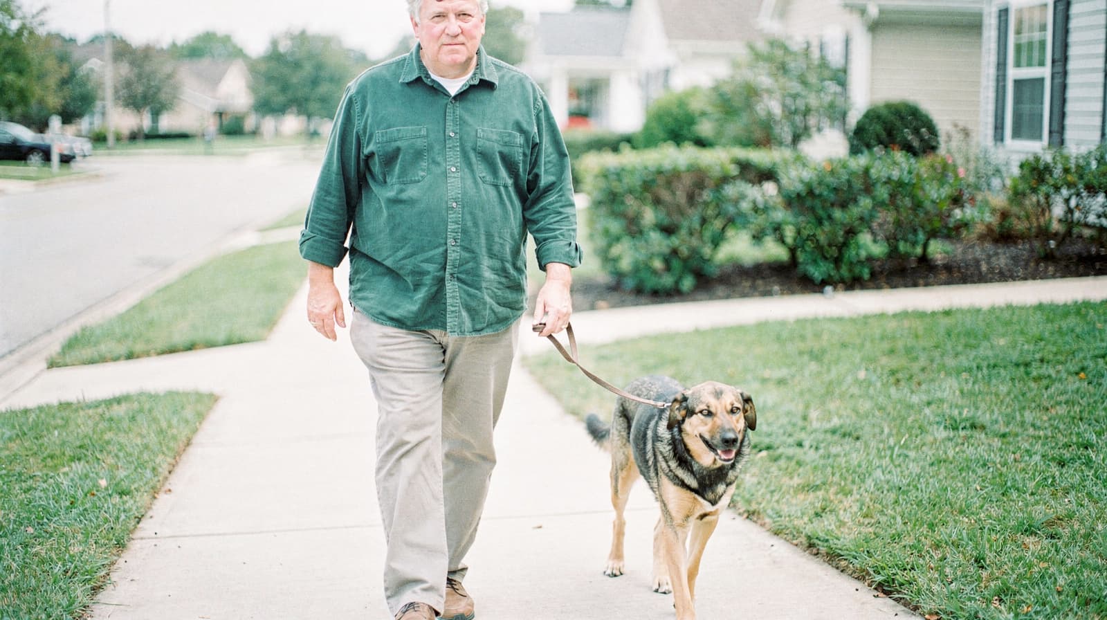 A man walks a dog on a sidewalk in a suburban neighborhood.