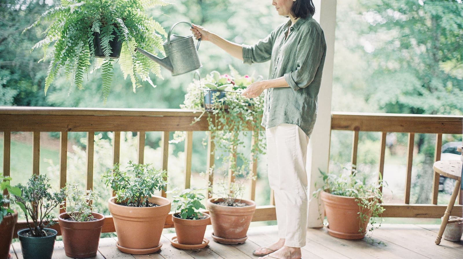 A person waters potted plants on a wooden porch surrounded by greenery.