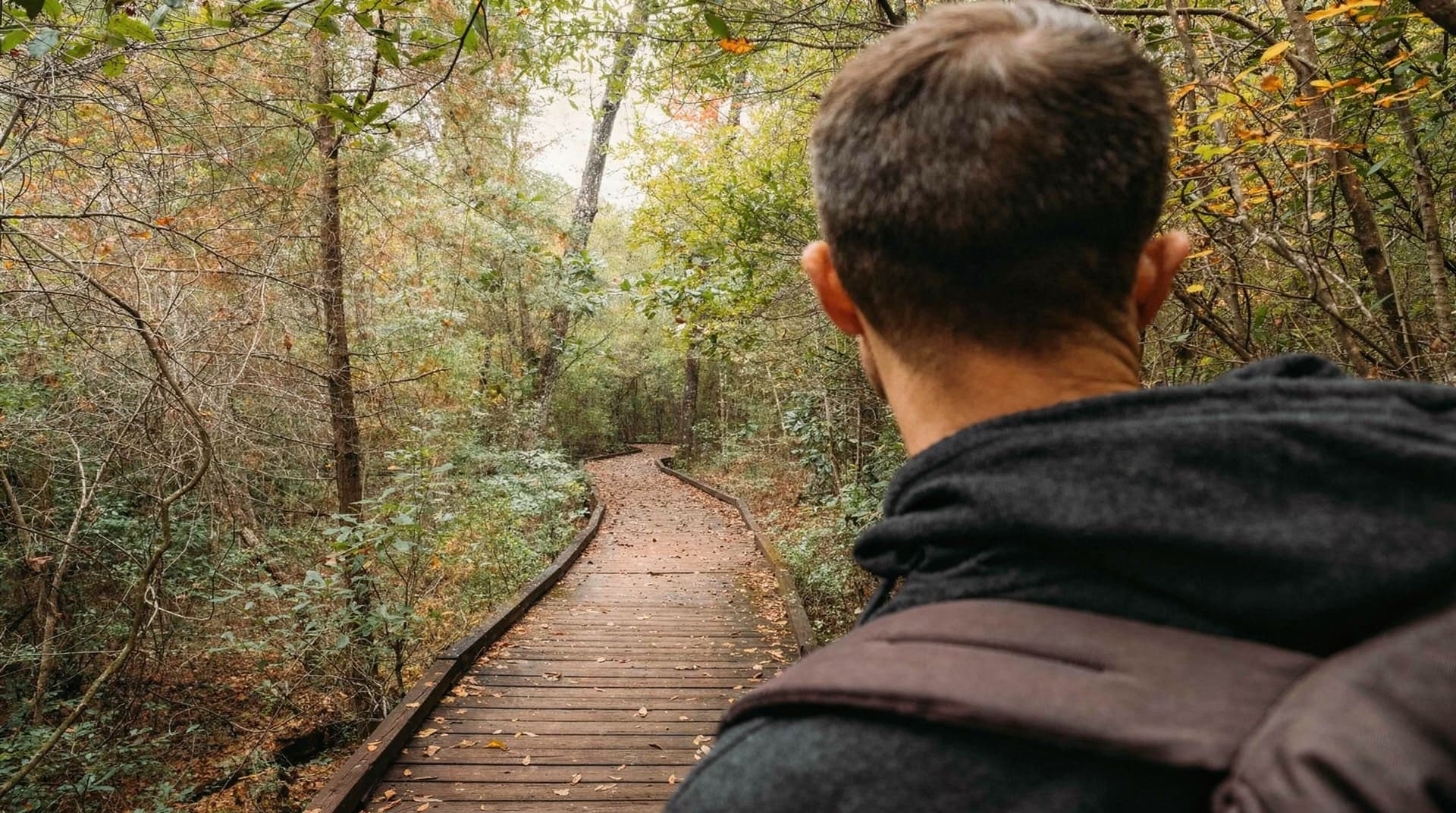 A person with a backpack walks along a wooden path through a dense forest.