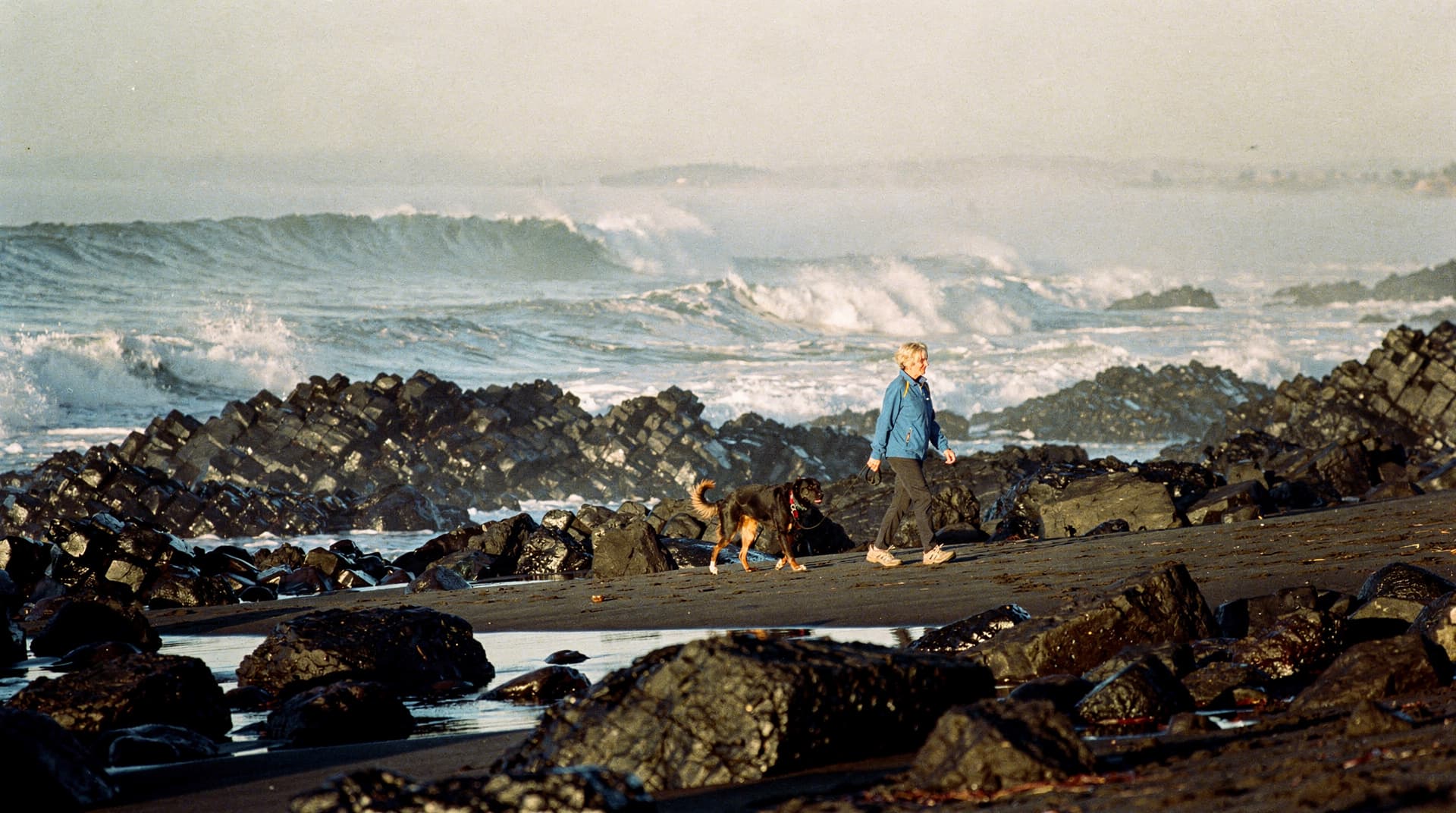 A person walks a dog along a rocky beach with large waves in the background.
