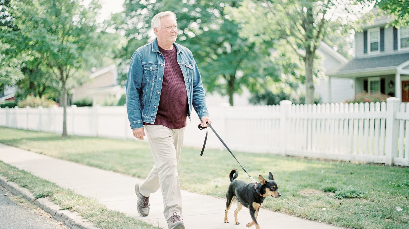 A man walks a dog on a sidewalk in a suburban neighborhood with white picket fences and trees.
