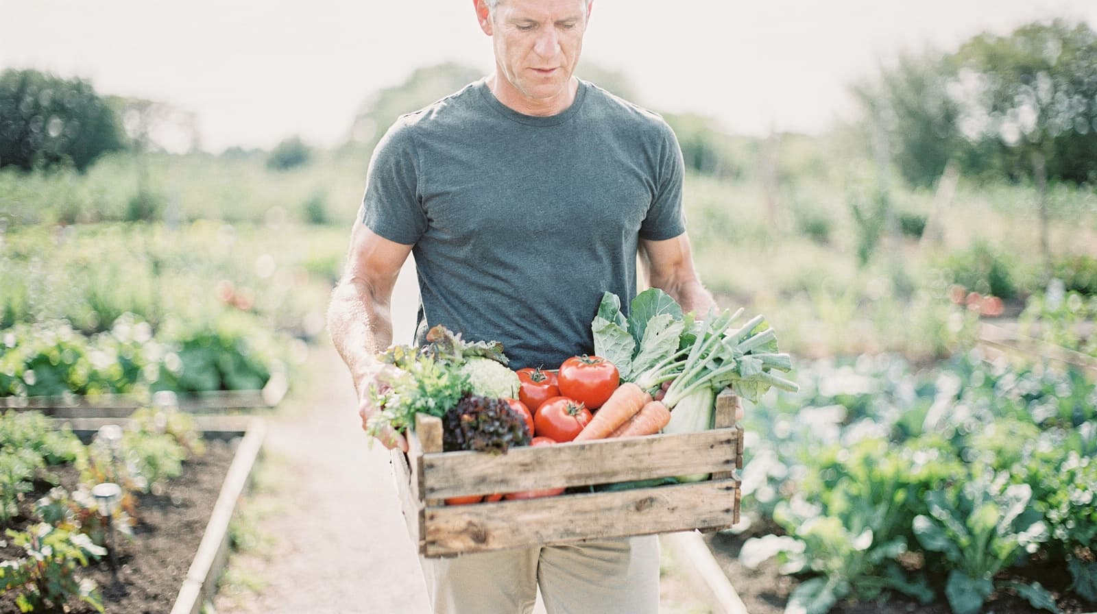 A man carries a wooden crate filled with fresh vegetables in a garden.
