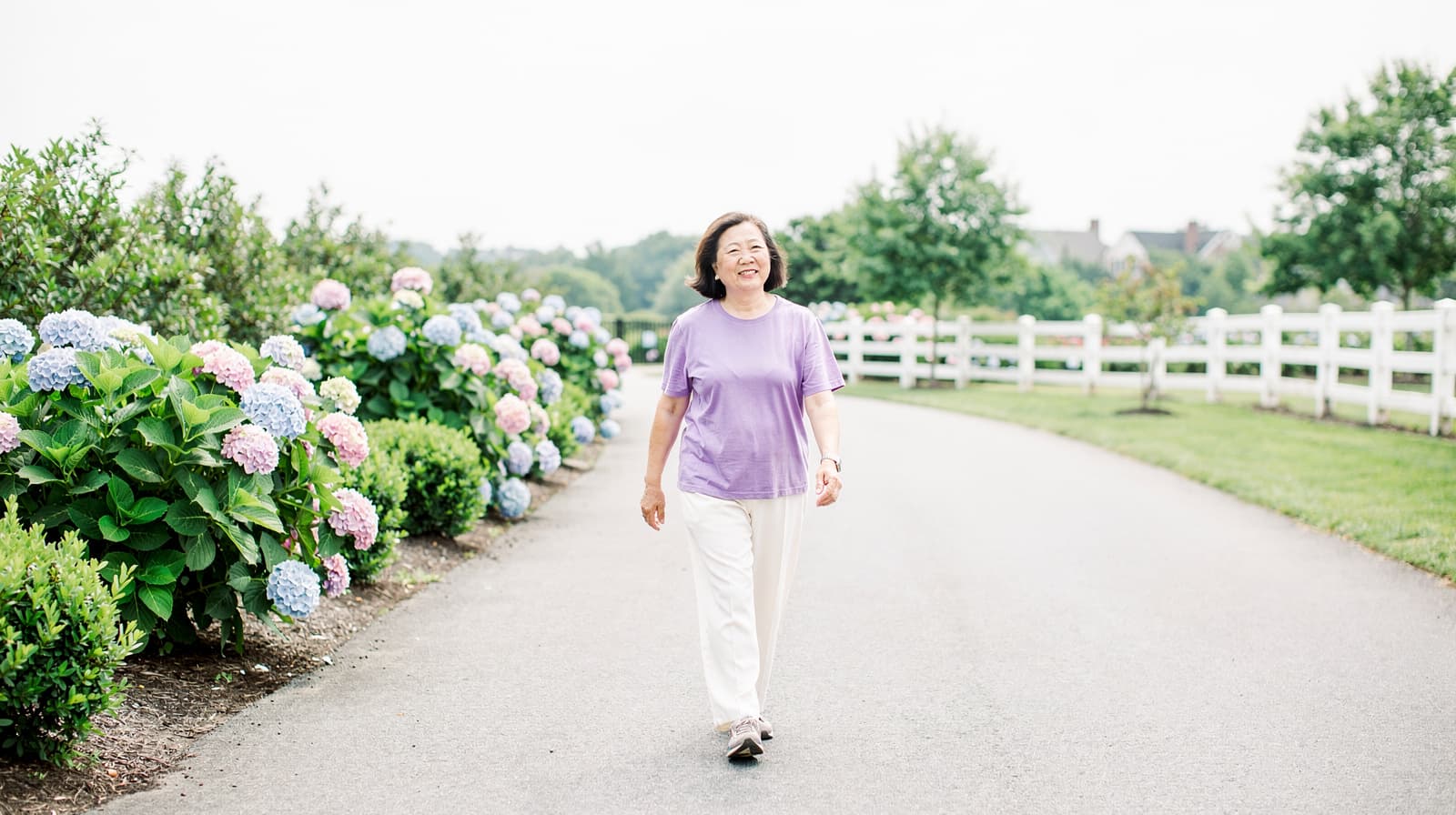 A woman walks along a path lined with blooming hydrangeas and a white fence in a park.