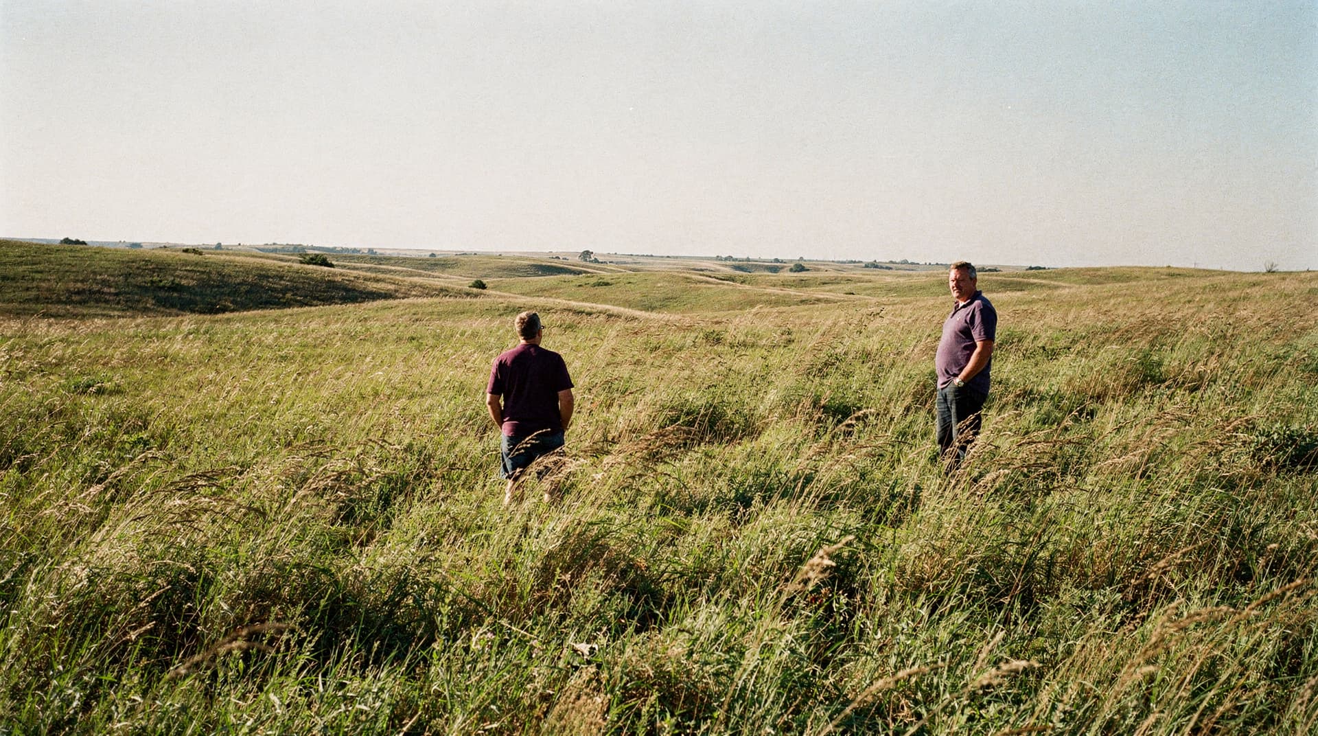 Two men walk through a vast grassy field under a clear sky.