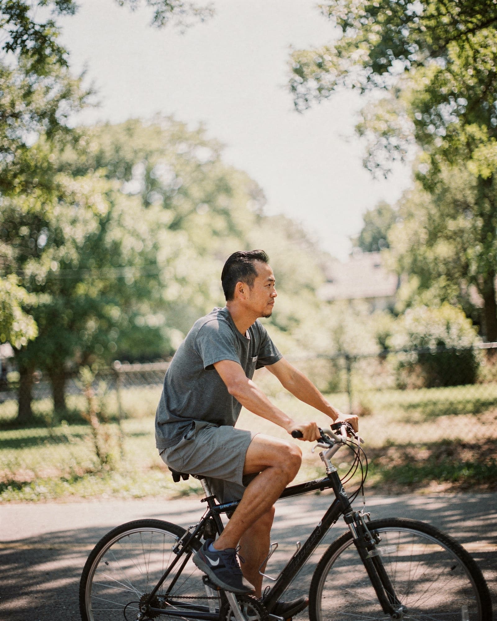 A man riding a bike at an easy pace along a sunlit, tree-lined path on a clear morning